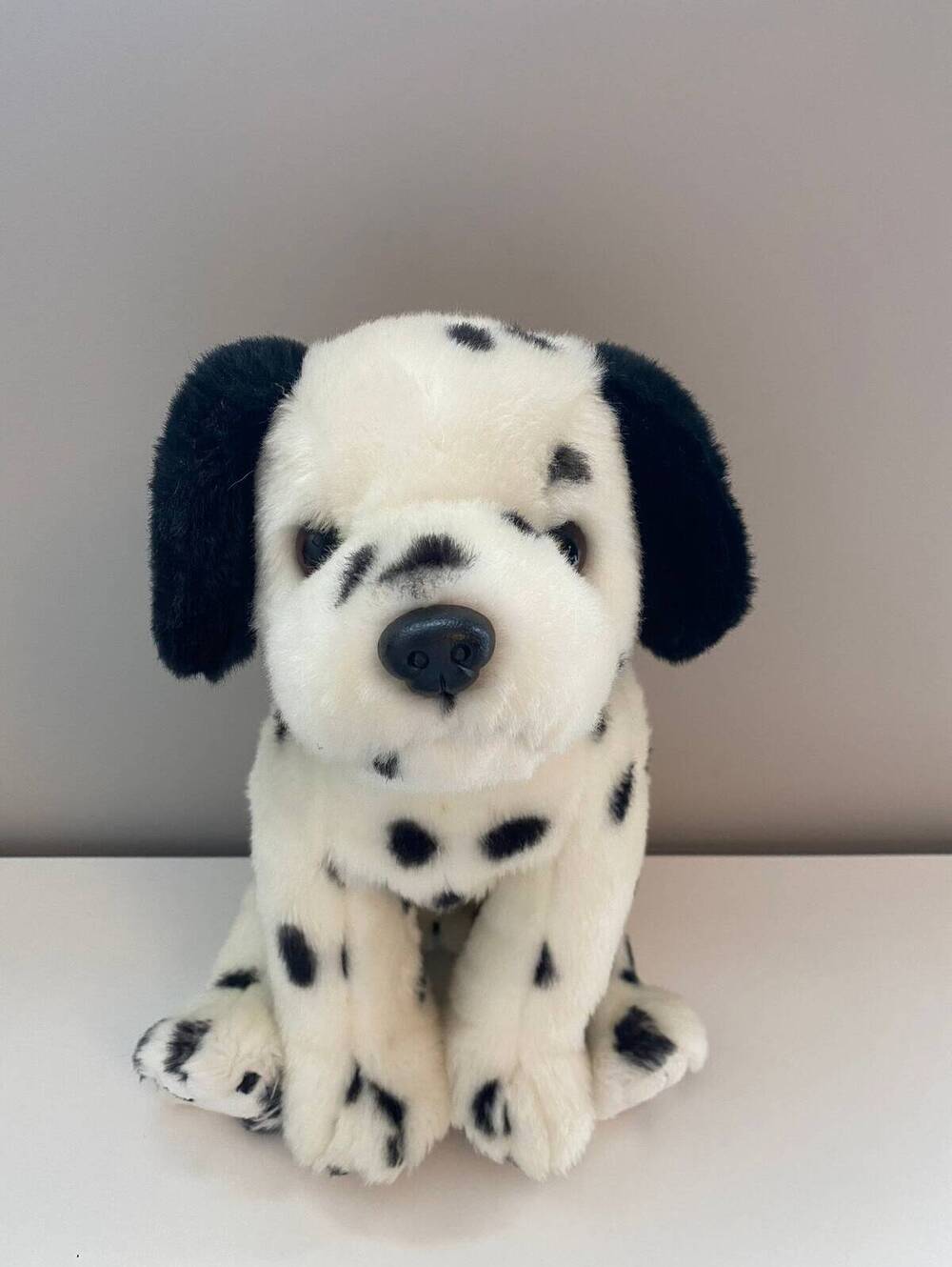 Ty Beanie Buddy “Dotty” the Dalmatian - Spot Placement Varies (12 inch)